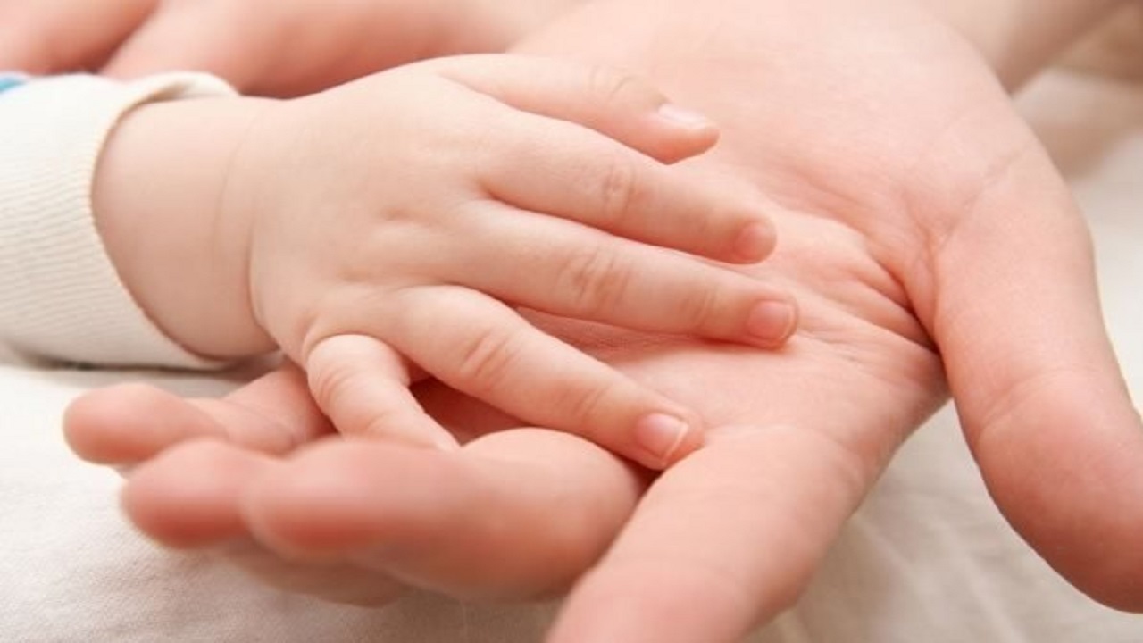 چگونه یارانه موالید فعال می‌شود؟