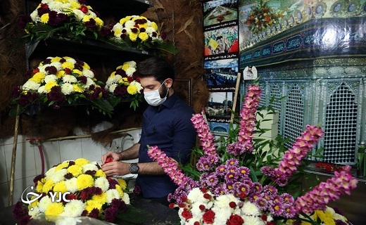 ضریح مطهر حرم حضرت معصومه (س)گل آرایی شد+تصاویر