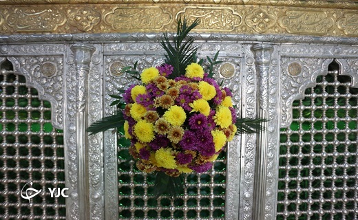 ضریح مطهر حرم حضرت معصومه (س)گل آرایی شد+تصاویر