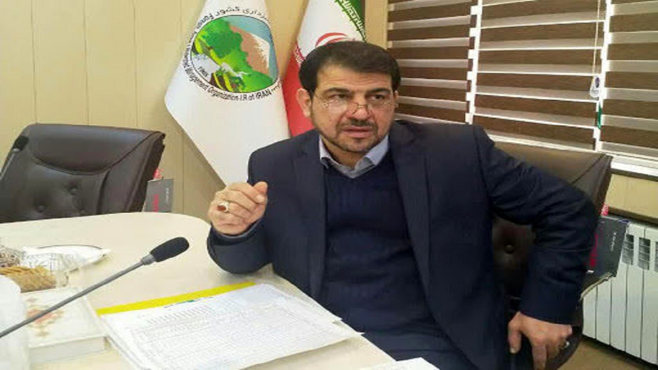 ٣۵٠٠متر مکعب قاچاق چوب جنگل‌های هیرکانی!
