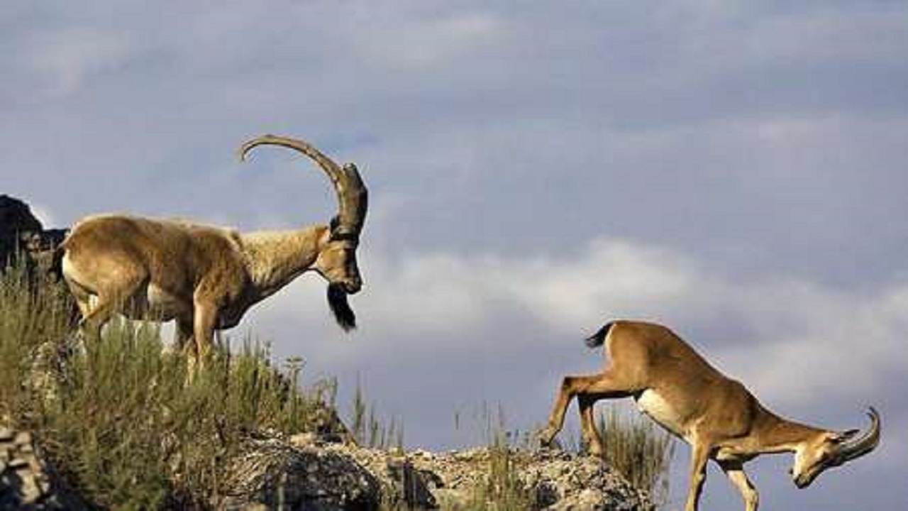 منطقه حفاظت شده باشگل مکانی مناسب برای گردشگری