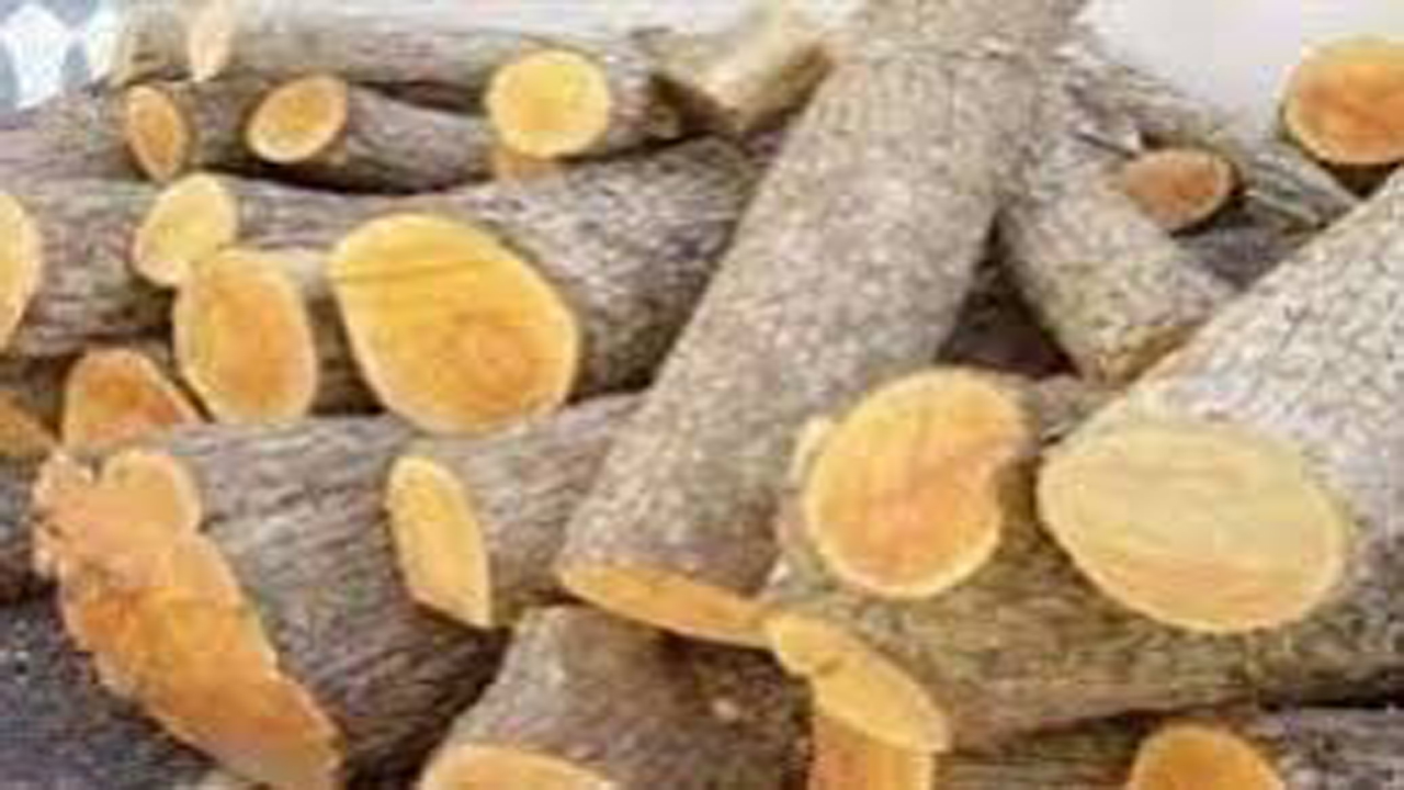 انهدام باند قاچاق چوب درخت جنگلی بلوط در شهرستان سپیدان