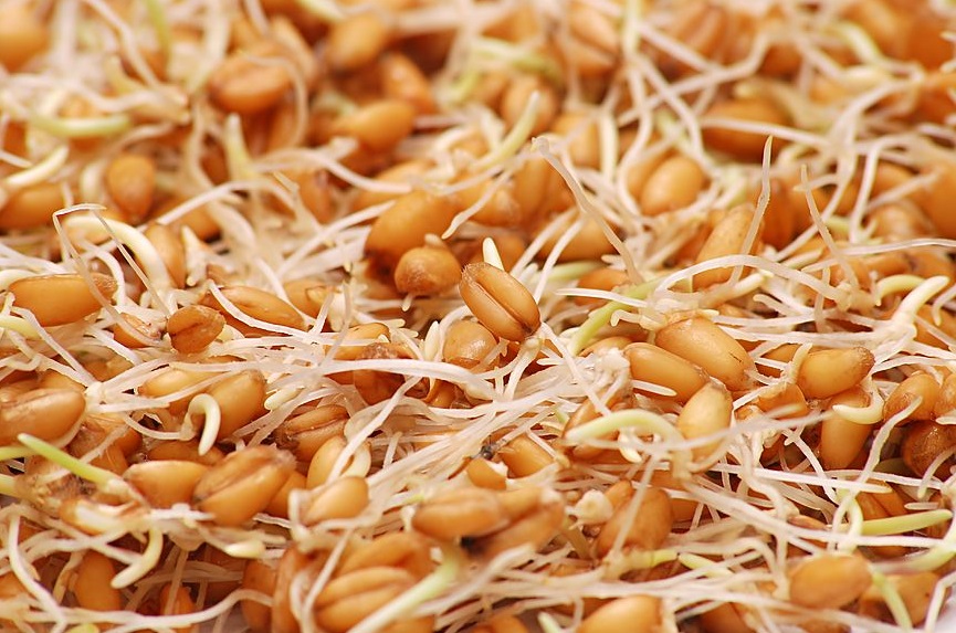 مواد غذایی کامل