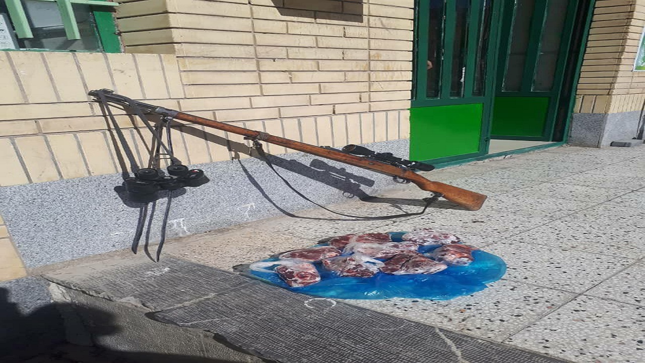 کشف اجزای قوچ اوریال از منازل متخلفان شکار و صید در نیشابور