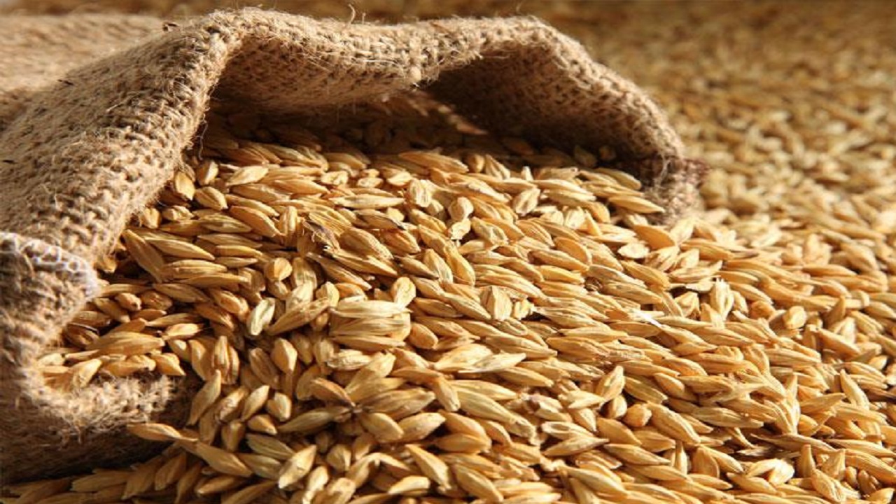 شناسایی شرکت تعاونی متهم به عرضه خارج از شبکه در خراسان جنوبی