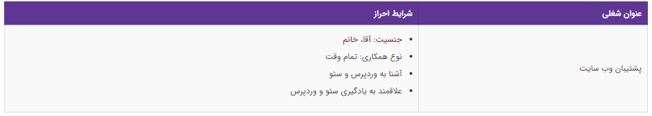 استخدام پشتیبان وب سایت در یک شرکت معتبر