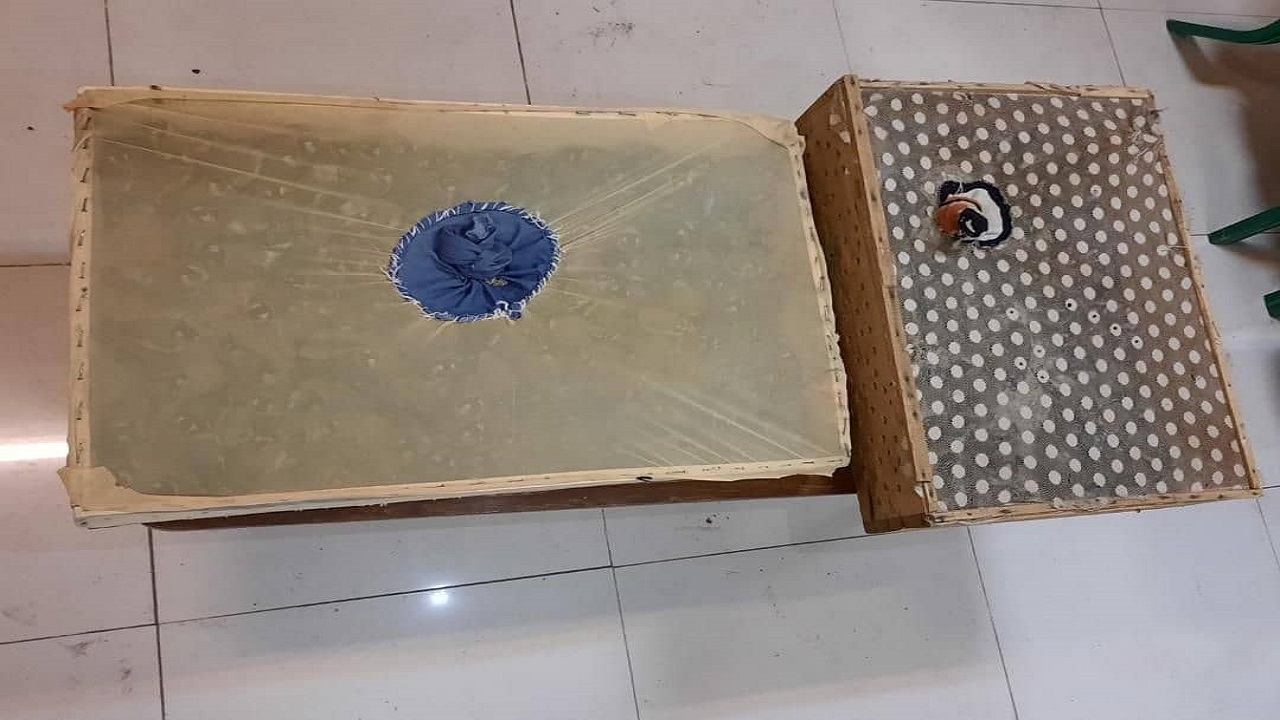 کشف ۳۵۰ قطعه سهره طلایی در ارومیه