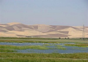 ظرفیت طبیعی تالاب حسنلوی نقده ۳.۵ میلیون مترمکعب است