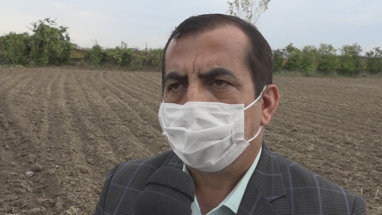 برگزاری رزمایش کشت کلزا در مازندران