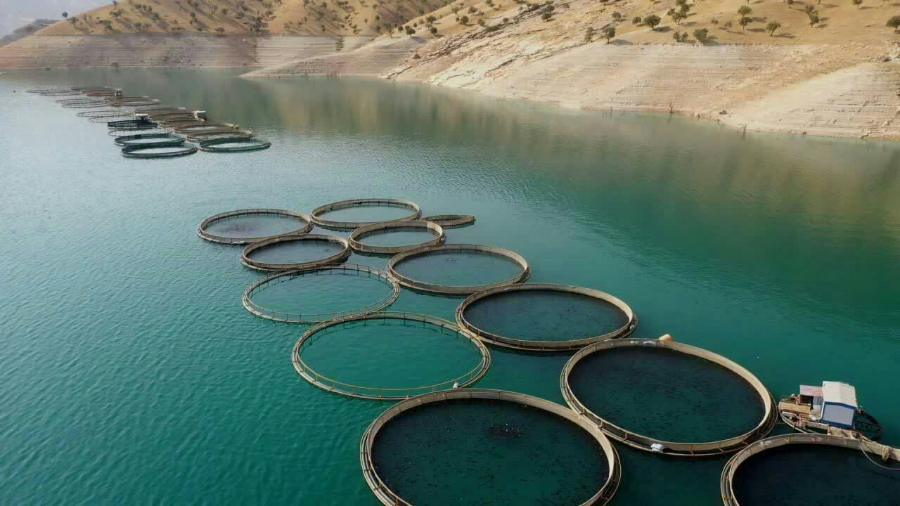 رشد ۱۰ درصدی تولید آبزیان در چهارمحال و بختیاری