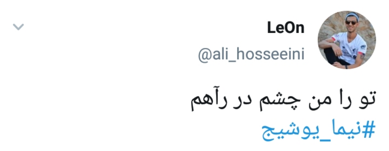 بزرگداشت زادروز نیما یوشیج