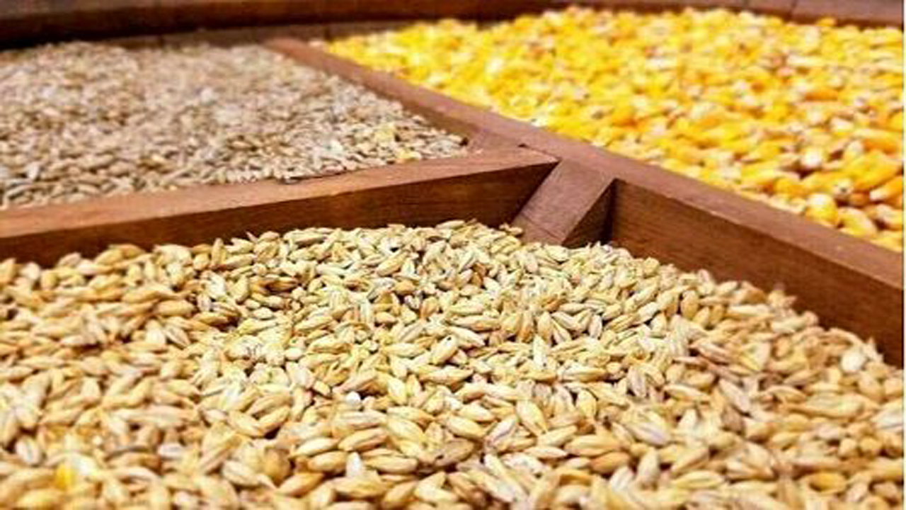تشکیل پرونده تخلف برای فروشندگان نهاده‌های کشاورزی