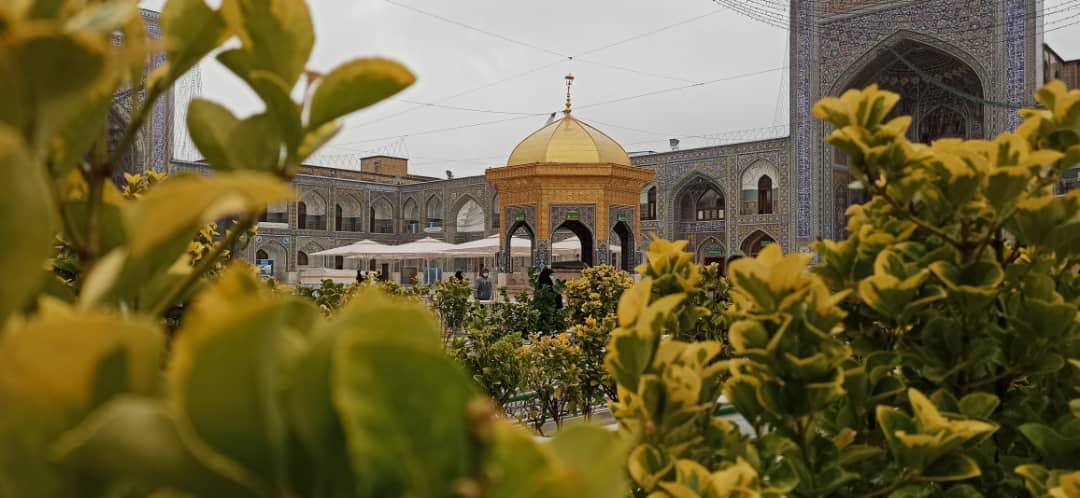 چشمان بارانی زائرین امام مهربانی هادر زیر بارش باران