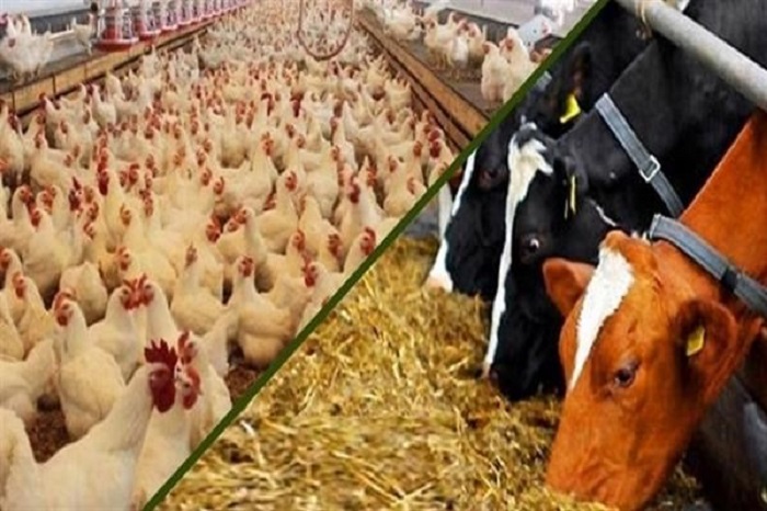 باز کردن گره مشکل تامین نهاده های دامی و کشاورزی در دست کمیسیون کشاورزی مجلس شواری اسلامی
