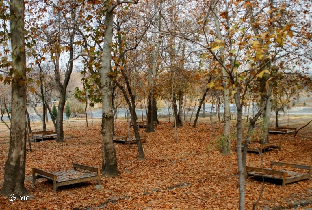 تصاویری از پاییز زیبای باغ وکیل آباد مشهد