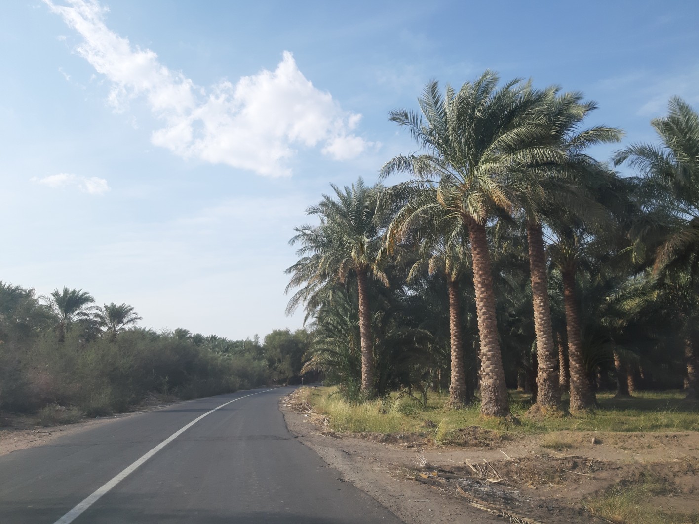 جاده های ریگان