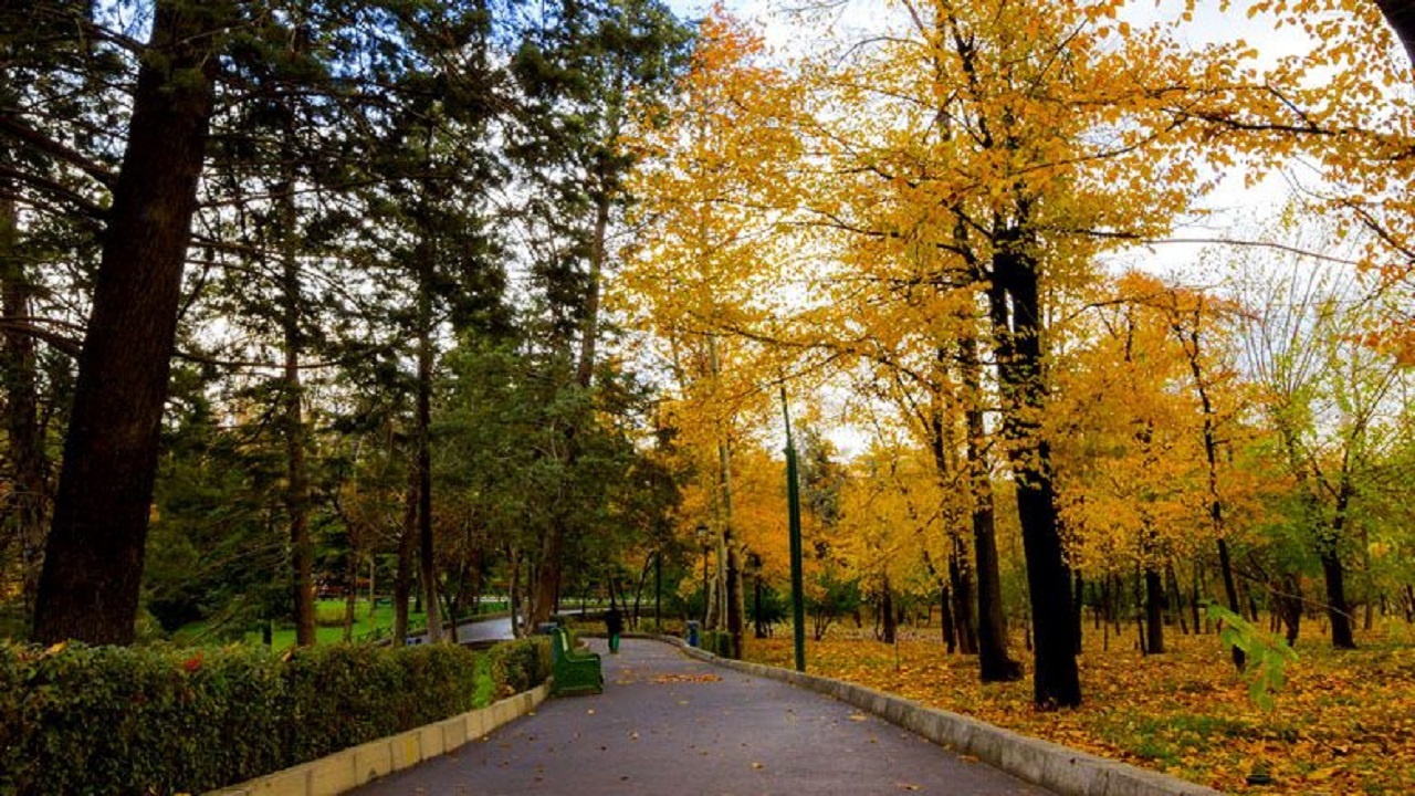 پیش بینی رگبار باران و وقوع مه صبحگاهی در چهارمحال و بختیاری