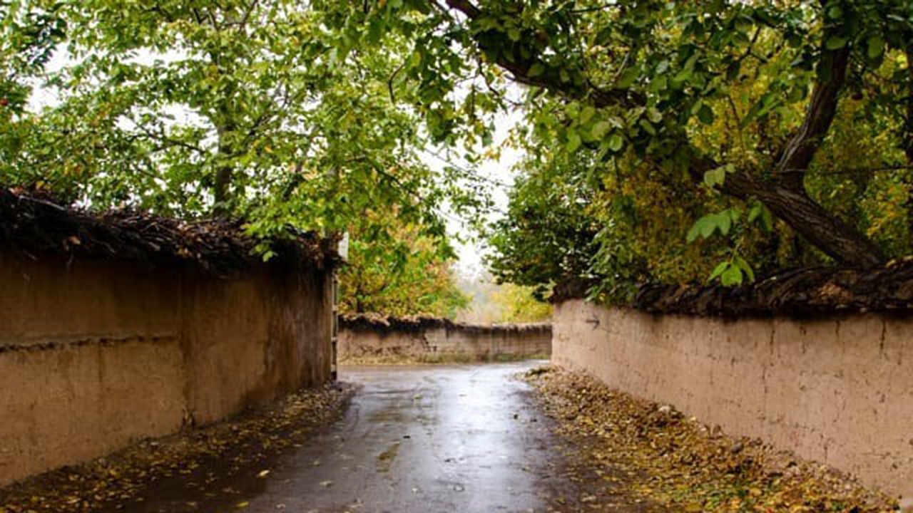 بارش باران طراوت خاصی به فارس بخشید + تصاویر