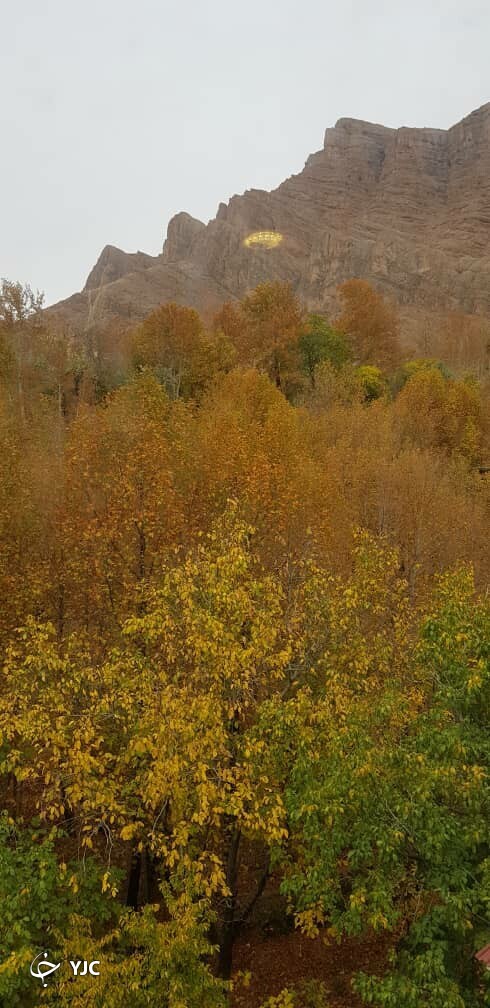 بارش باران طراوت خاصی به فارس بخشید