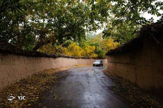 بارش باران طراوت خاصی به فارس بخشید