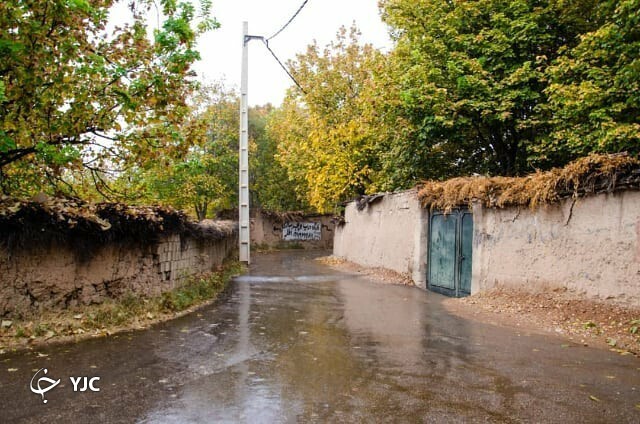 بارش باران طراوت خاصی به فارس بخشید