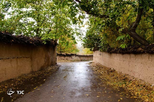 بارش باران طراوت خاصی به فارس بخشید