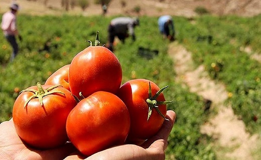 دستگیری سه مظنون در ارتباط با مرگ پسر بچه بستان آبادی/نیم نگاهی به زندگی در همسایگی کرونا/ شهادت ۳ مرزبان در مرزهای غربی