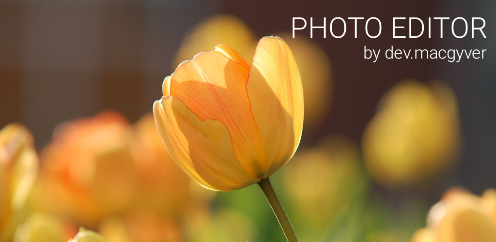 دانلود Photo Editor