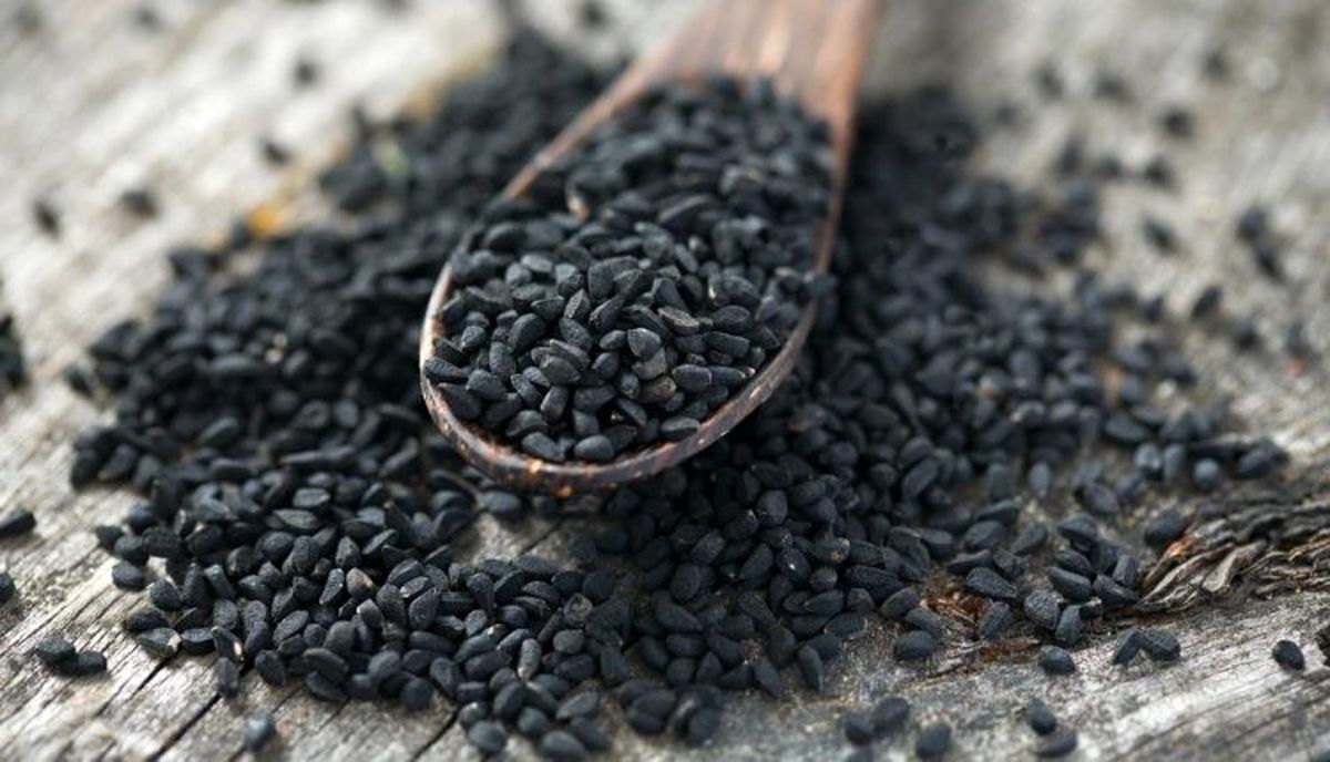 سیاه دانه مناسب کشت در اراضی مرودشت