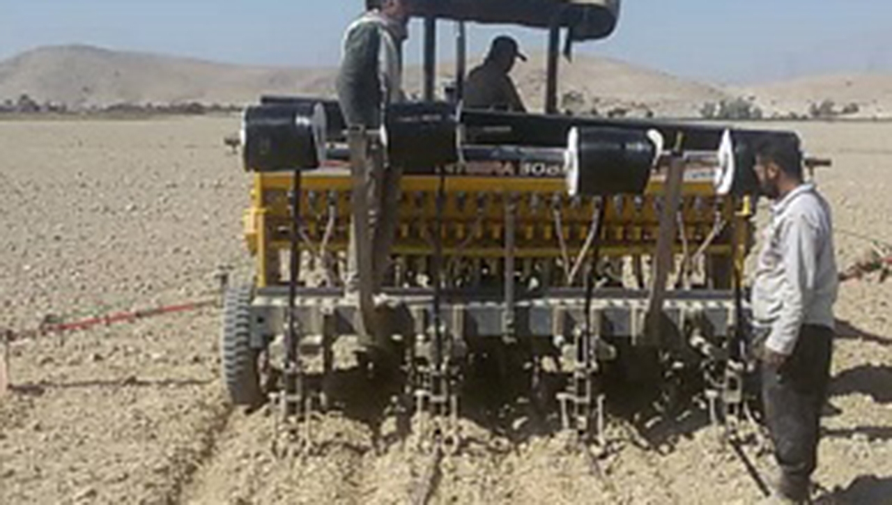 کاشت بزرگترین مزرعه مکانیزه کلزای استان در داراب
