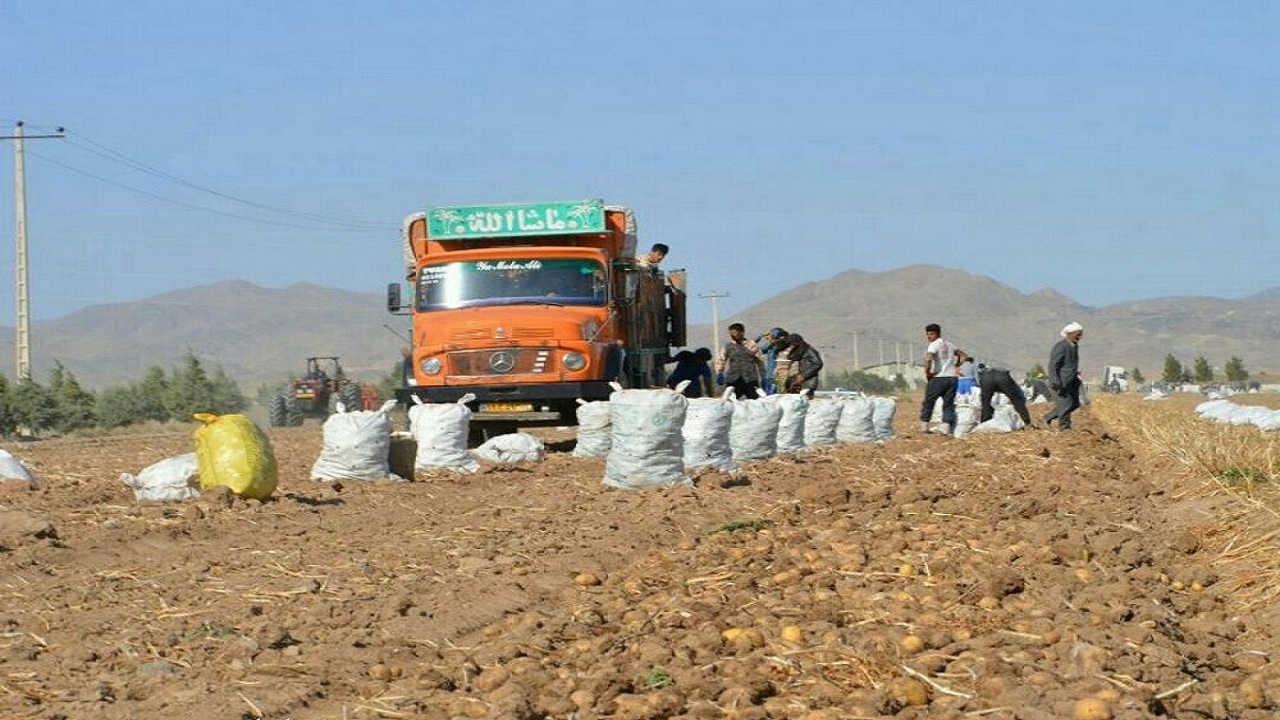بهترین خاک‌ خراسان رضوی در تربت‌حیدریه و دشت نوغان قرار دارد