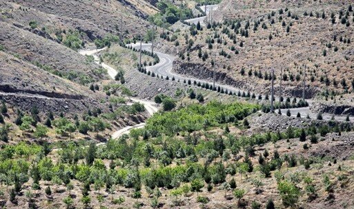 تشدید اقدامات حفاظتی از عرصه&zwnj;های منابع طبیعی اولویت مهم سازمانی است