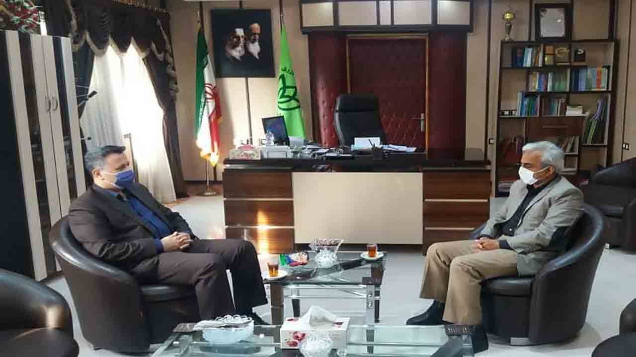 شهرستان املش اولین تولید کننده چای در کشور است