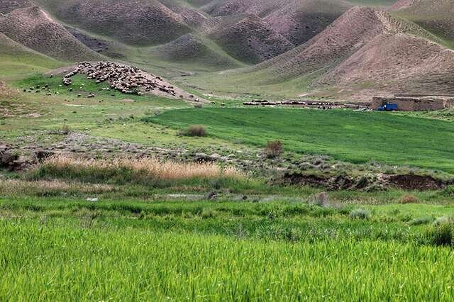 واگذاری بیش از ۳ هزار و ۳۰۰ هکتار از اراضی ملی استان همدان برای اشتغالزائی وجهش تولید