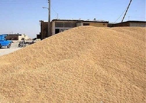 احتکار ۳۰۰ تُن گندم و جو در اصفهان / کشف فشارسنج&zwnj;های صنعتی قاچاق در بار برنج