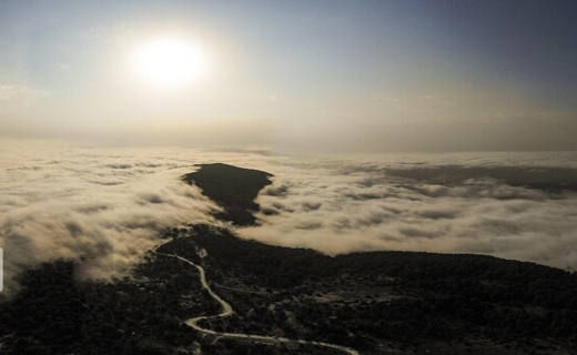 جادوی ابر و مه در جنگل توسکستان