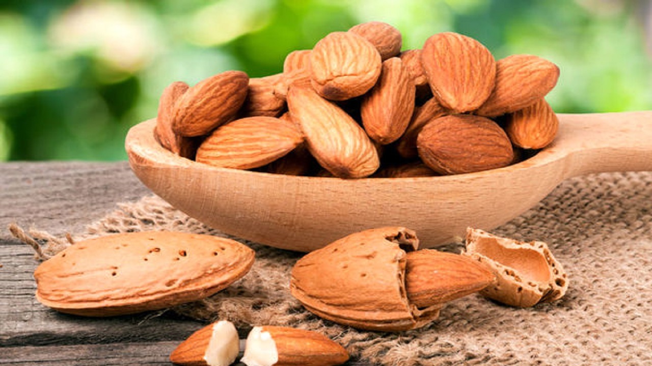 فرصت‌های سرمایه گذاری در بخش کشاورزی چهارمحال و بختیاری مهیا است