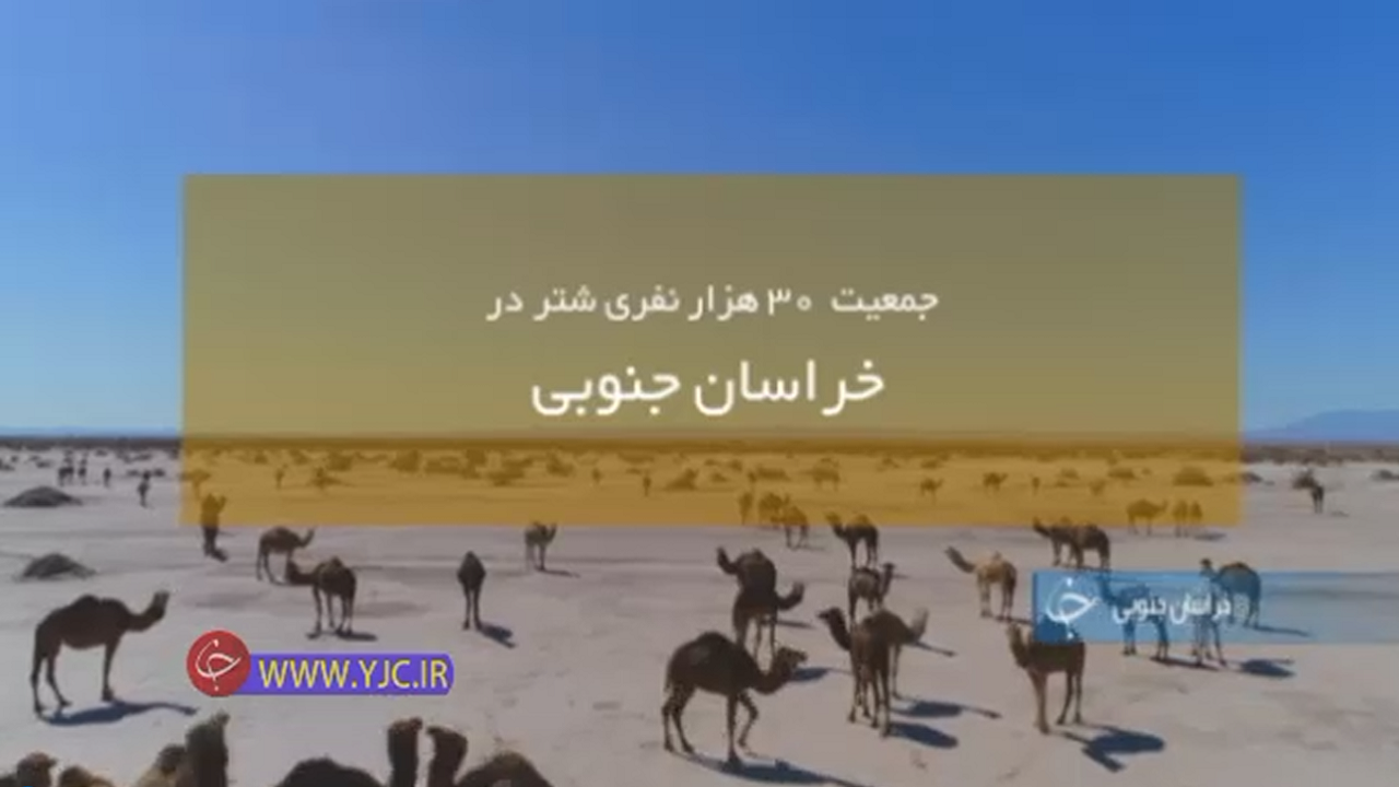 شتر،کِشتی نجاتی در کویر+فیلم