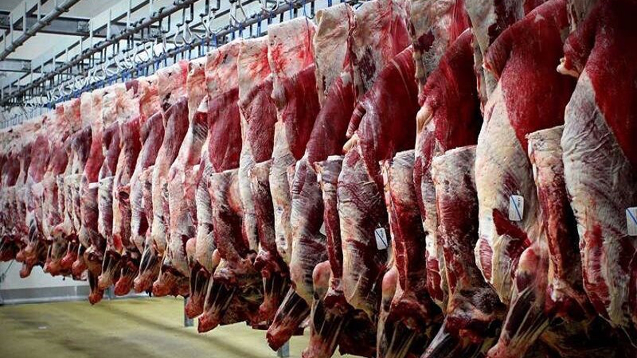 گوشت قرمز از سبد خانوار‌های استان فارس حذف می‌شود
