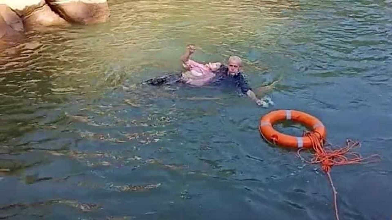 واکنش جالب حیوانات با دیدن ببر ساختگی!