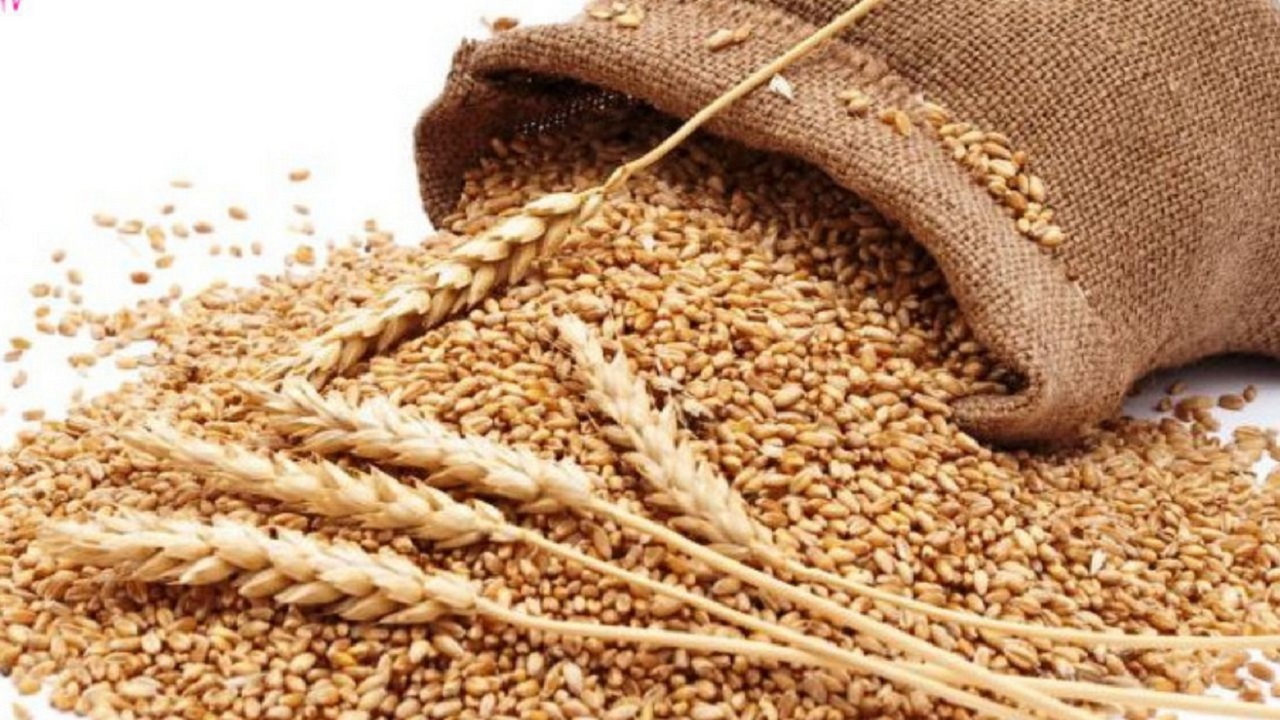 جمع‌آوری ۱۸ میلیارد و ۵۰۰ میلیون ریال زکات در روانسر