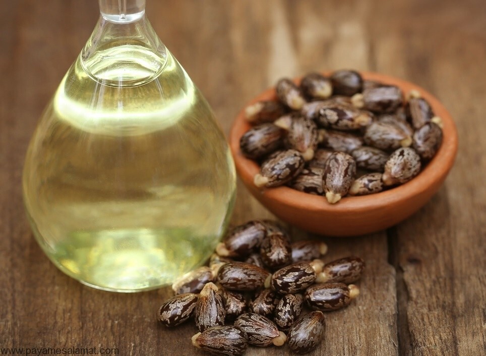 روغن قرچک