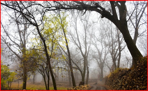 روستای وفس،ماسوله استان مرکزی