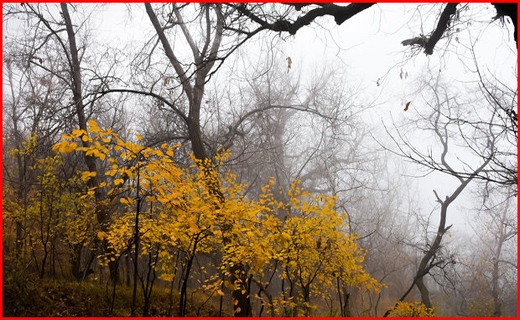 روستای وفس،ماسوله استان مرکزی