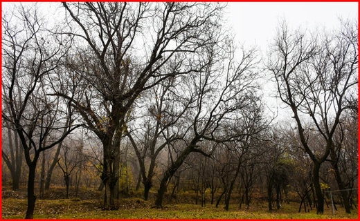 روستای وفس،ماسوله استان مرکزی