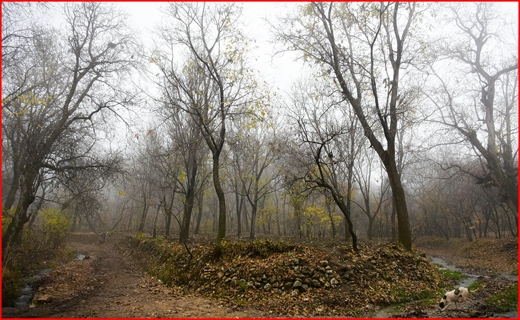 روستای وفس،ماسوله استان مرکزی