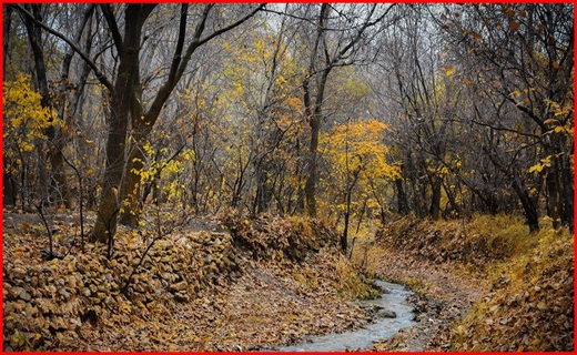روستای وفس،ماسوله استان مرکزی