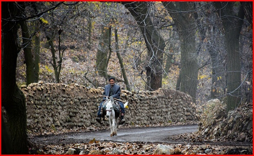 روستای وفس،ماسوله استان مرکزی