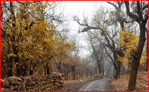 روستای وفس،ماسوله استان مرکزی