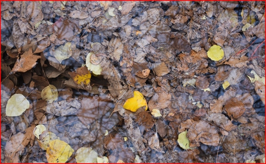 روستای وفس،ماسوله استان مرکزی